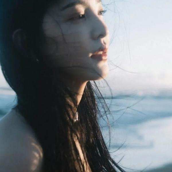 血战残阳